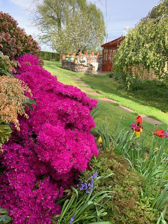 Llanwenarth Cottage A Beautiful Place To Just Be. Abergavenny Exteriör bild