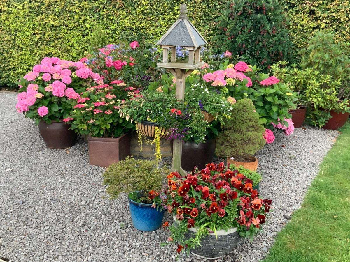 Llanwenarth Cottage A Beautiful Place To Just Be. Abergavenny Exteriör bild