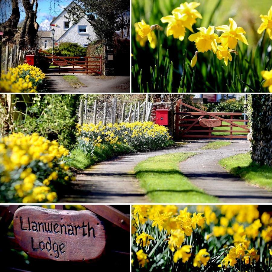 Llanwenarth Cottage A Beautiful Place To Just Be. Abergavenny Exteriör bild